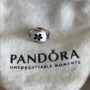 Pandora retired charm